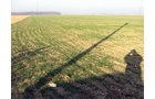 Property photo 12 - 60 Acres Offered in 2 Tracts